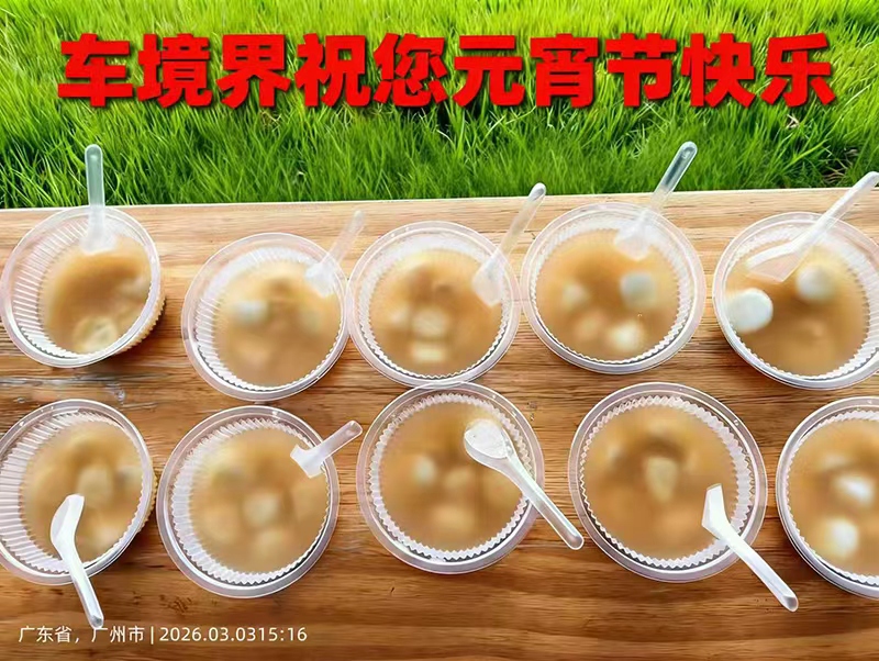 汽車(chē)除味劑